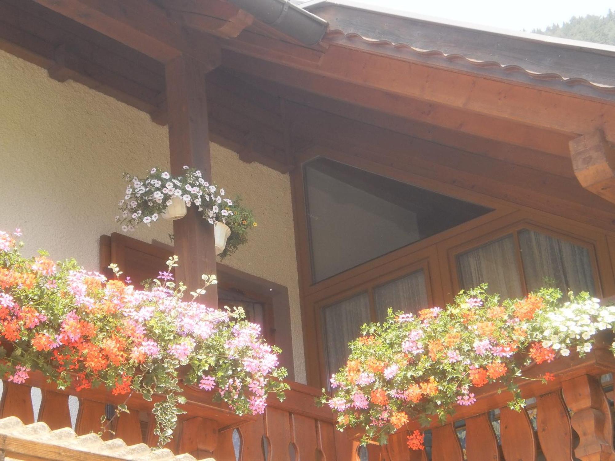 شقة Haus Birke ويسنسي المظهر الخارجي الصورة